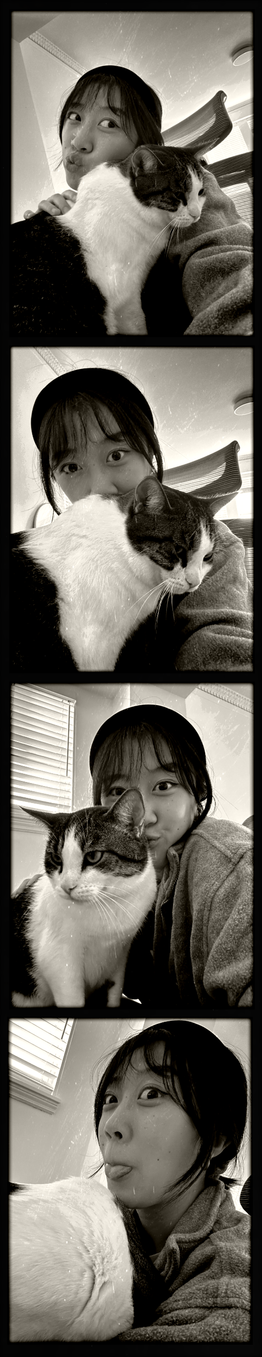 photostrip of just and her cat